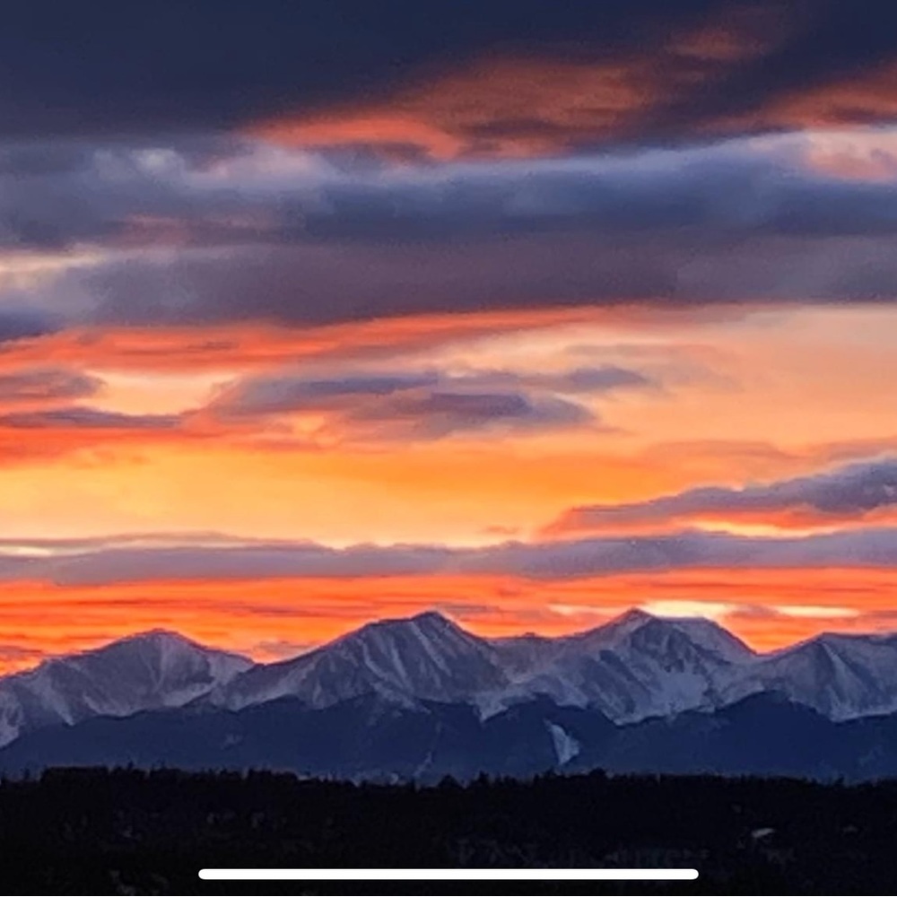 Simply Sentimentals 🌲